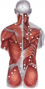 A hátfájás tünetei és kiváltó okai, Fájdalom a gerinc ízületeiben köhögés