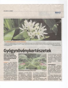 gyogynovenykerteszet